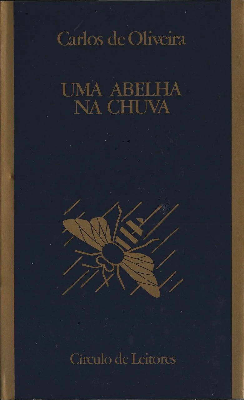 Uma Abelha Na Chuva